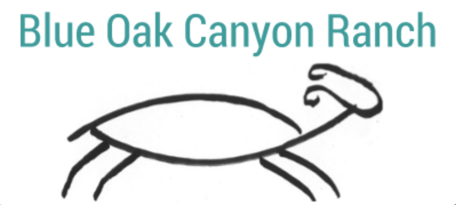 Blue Oak Canyon Ranch